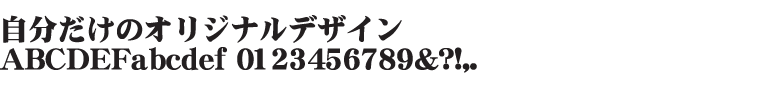 DFP極太明朝体
