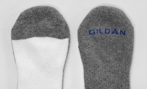 gilsox3