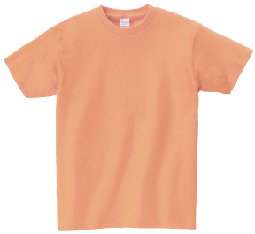 00085-CVT ヘビーウェイトTシャツ