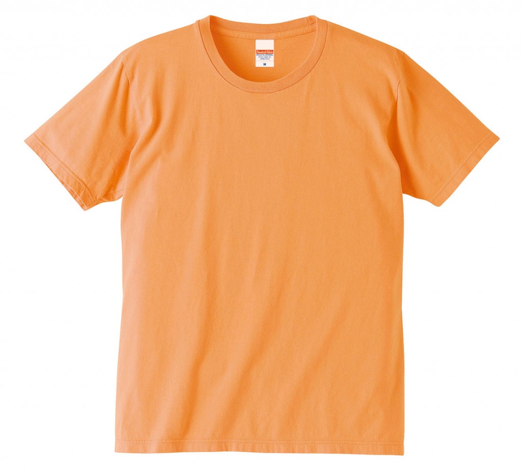 5401-01, 02 5.0オンス レギュラーフィット Tシャツ