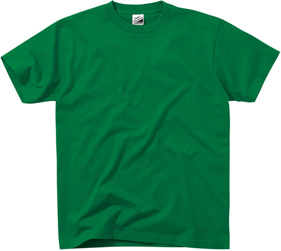 DM030 Standard T-shirts