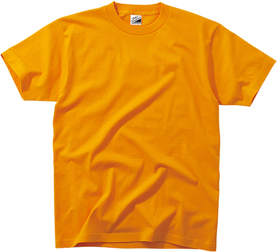 DM030 Standard T-shirts