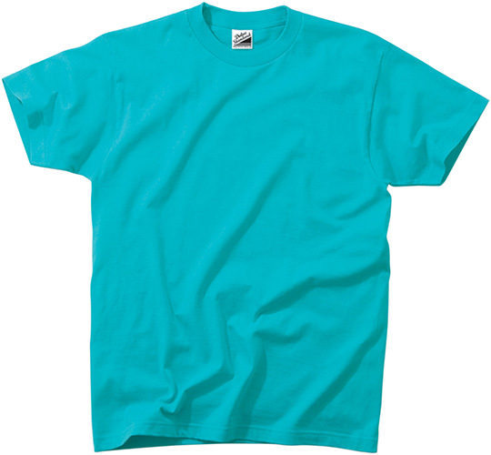 DM030 Standard T-shirts