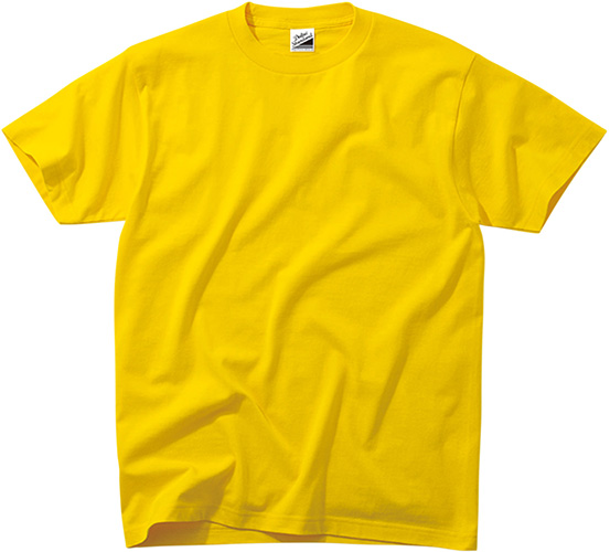 DM030 Standard T-shirts