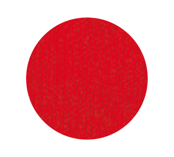 27300 マークロジャートレーナー(裏パイル)