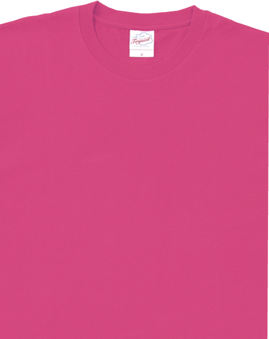 19200,19201 スタンダードライトTシャツ