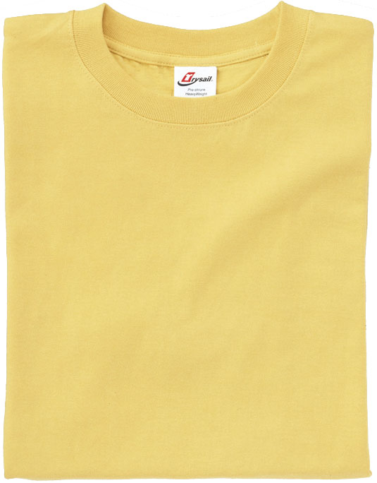 19000,19001 ヘビーウェイトTシャツ