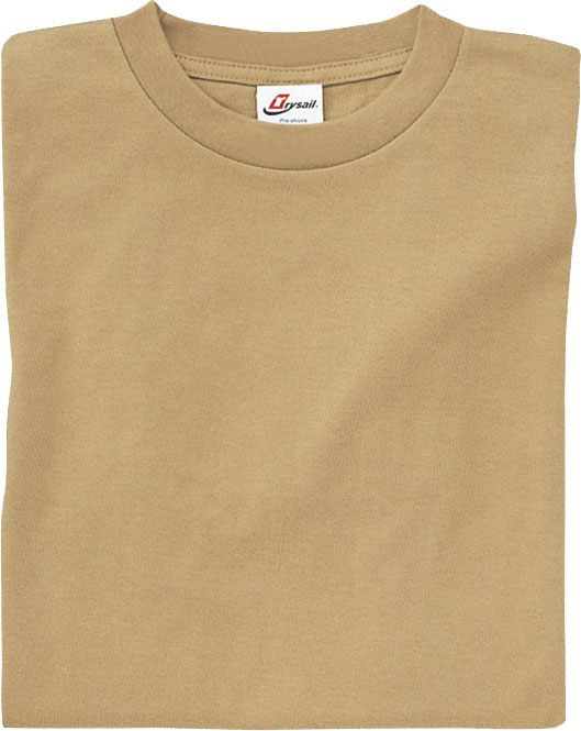 19100,19101 スタンダードヘビーウェイトTシャツ
