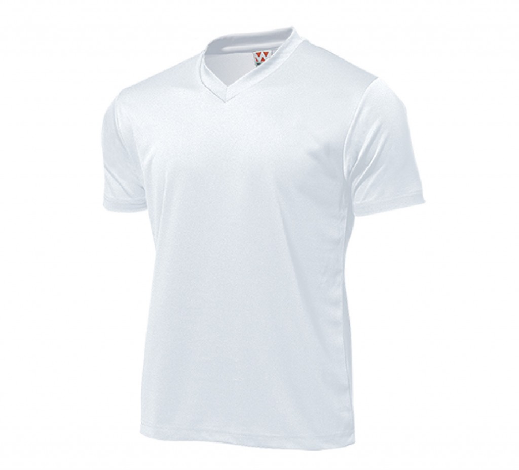 P390 ドライライトVネックTシャツ