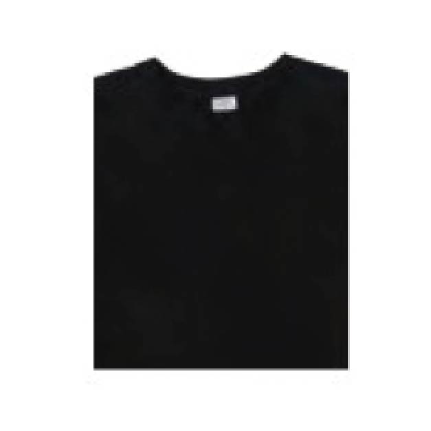 15333 ハイグレードコットンTシャツ