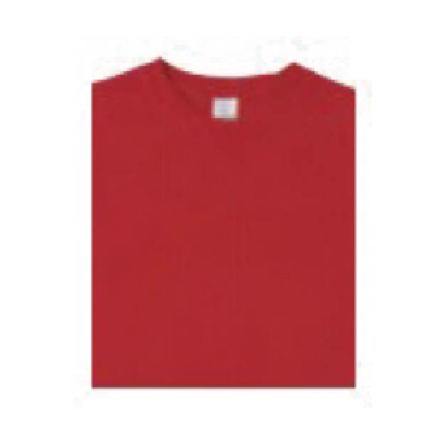 15333 ハイグレードコットンTシャツ