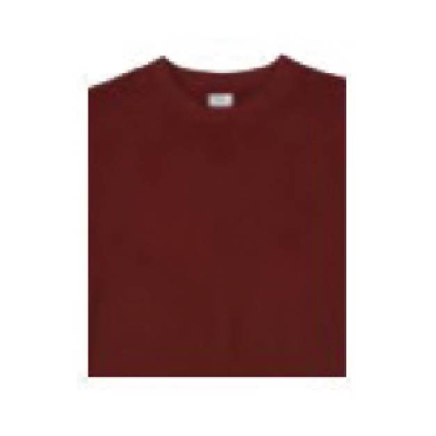 15333 ハイグレードコットンTシャツ