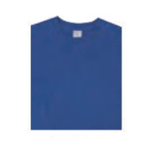 15333 ハイグレードコットンTシャツ